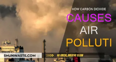 Unveiling the Impact: Carbon Dioxide's Role in Air Pollution