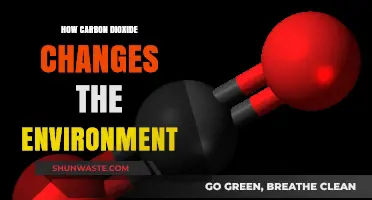 Carbon Dioxide's Impact: Transforming Our Environment and Climate