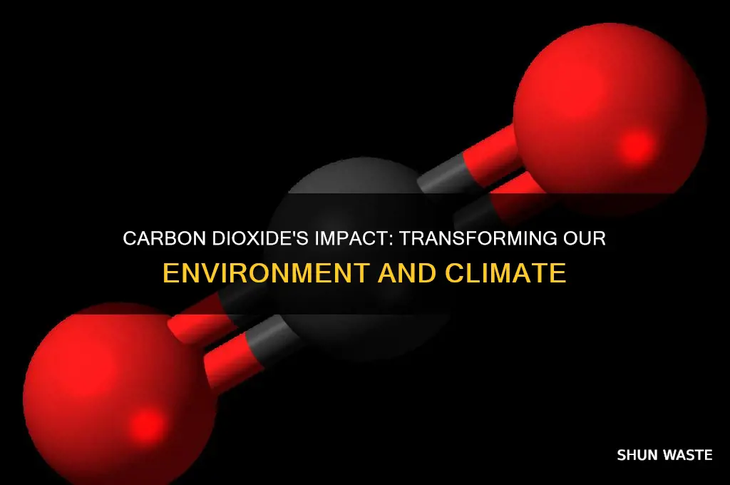 how carbon dioxide changes the environment