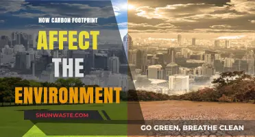 Carbon Footprint's Impact: Unveiling Environmental Consequences and Sustainable Solutions