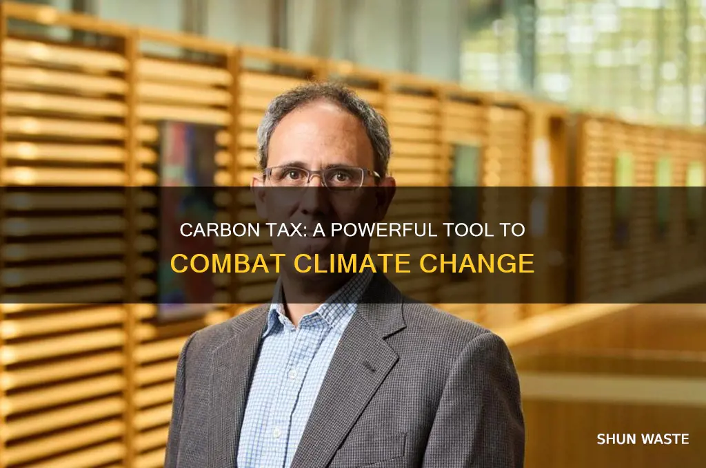 how carbon tax help environment