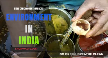 Carcinogens in India: Environmental Impact and Public Health Concerns