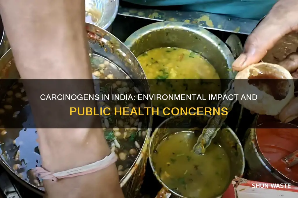 how carcinogens impacts environment in india