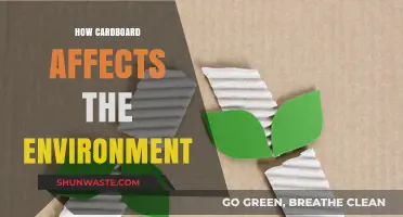 Cardboard's Environmental Impact: Recycling, Sustainability, and Eco-Friendly Practices