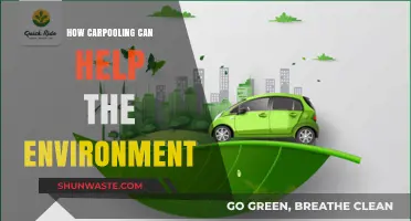 Carpooling for a Greener Future: Reducing Emissions, Saving Resources