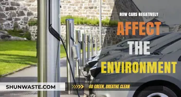 Driving Down Sustainability: The Environmental Toll of Cars