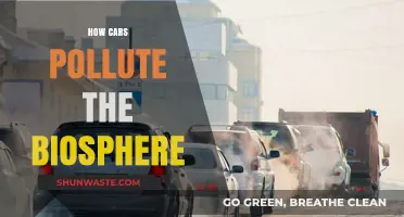 Cars: Polluting Our Biosphere, Our Health at Risk