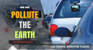 Cars: Polluting Our Planet, Hurting Our Health