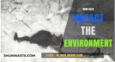 Cats' Environmental Pawprint: Exploring Their Impact on Ecosystems