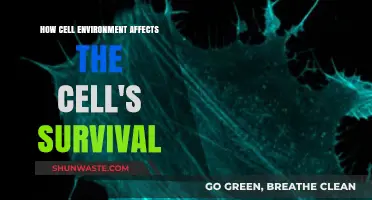 Cell Survival Secrets: Unveiling the Impact of Environmental Factors