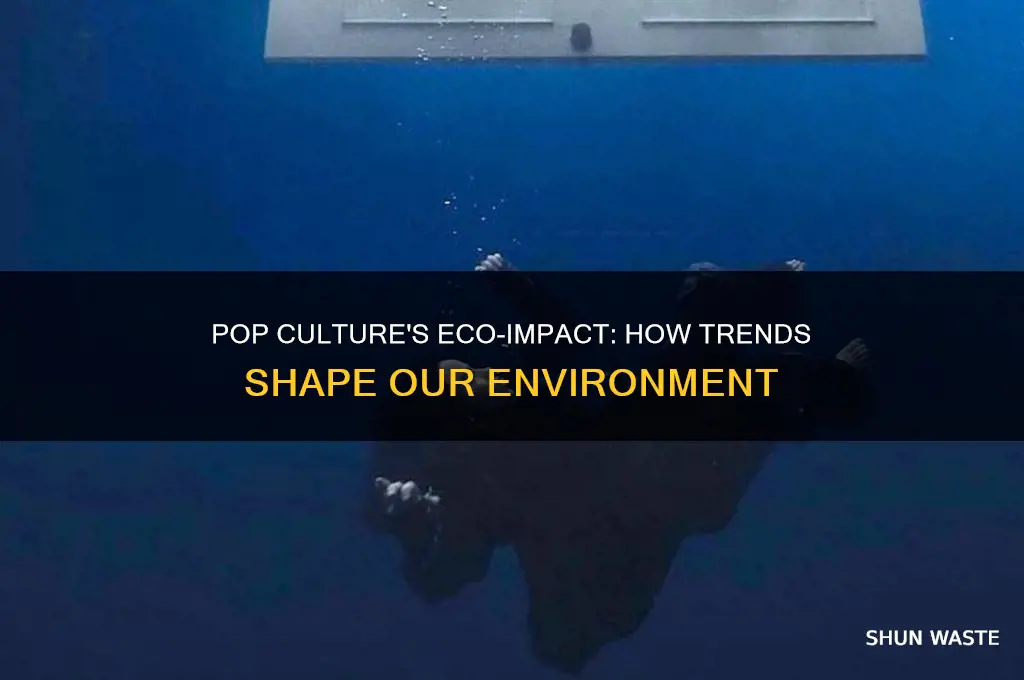 how certain pop culture affect environment