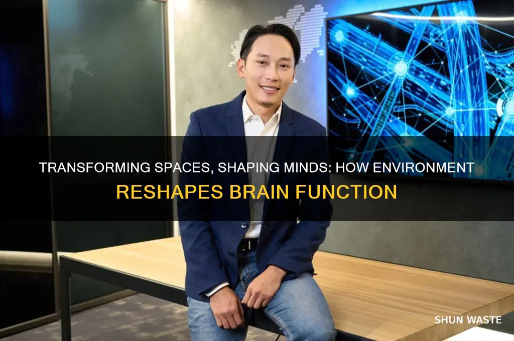 how change of environment affects brain