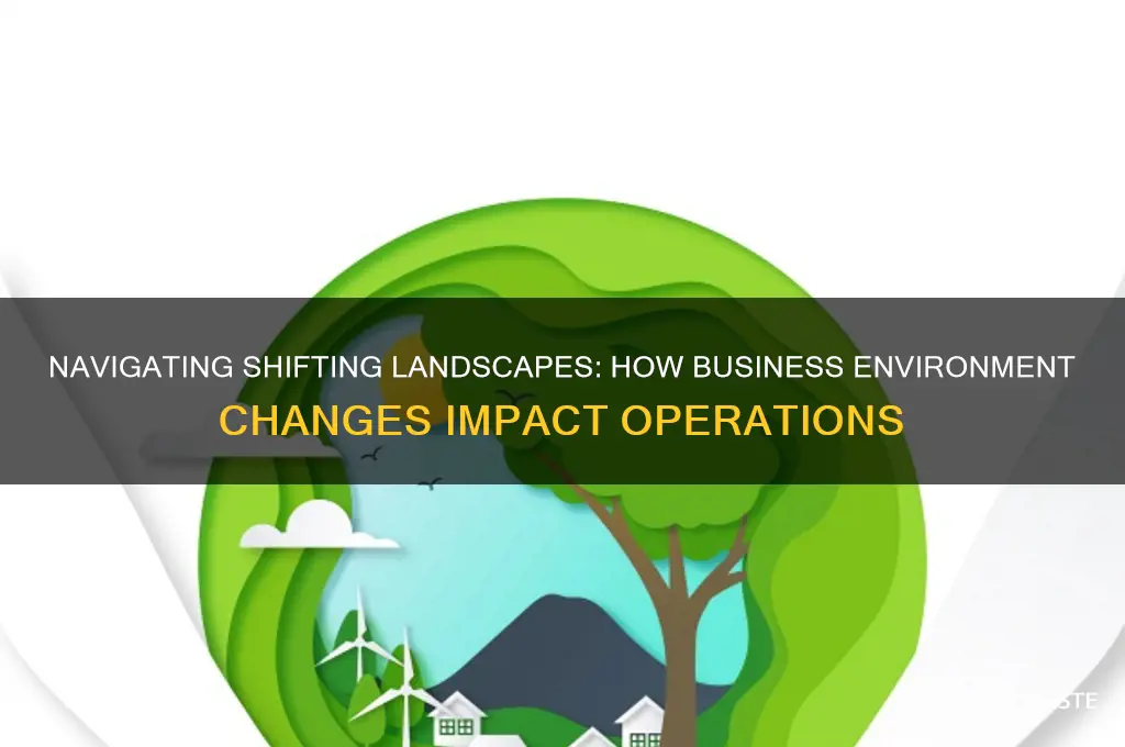 how changes in business environment affect the business