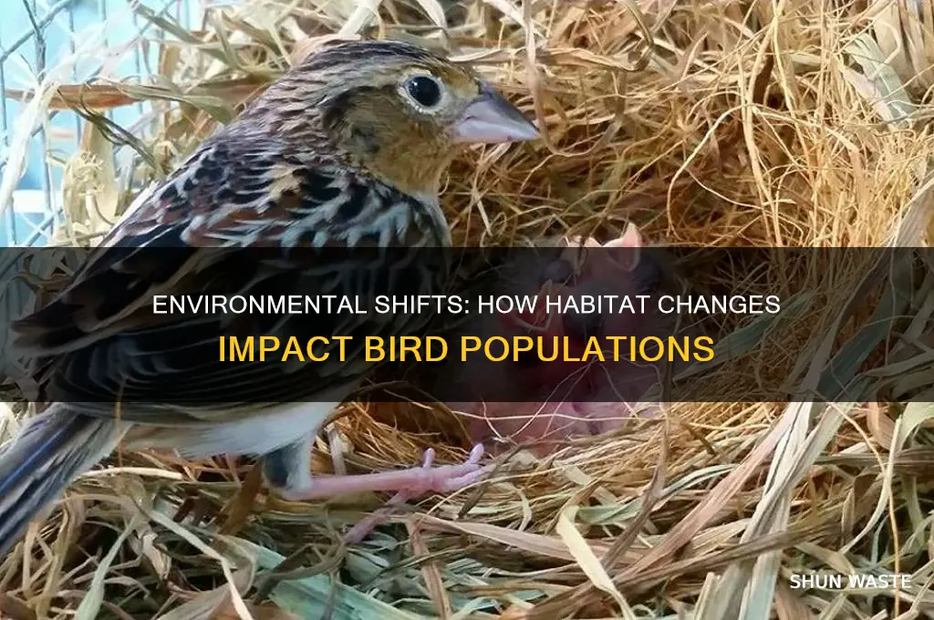how changes in environment is affecting birds
