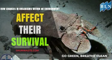 Adapt or Perish: How Environmental Changes Shape Organism Survival
