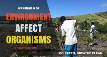 Environmental Shifts: How Habitat Changes Impact Organisms' Survival and Adaptation