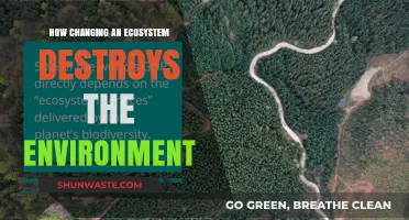 Ecosystem Disruption: How Altering Natural Balance Devastates Our Environment