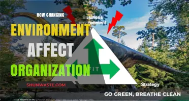 Adapting to Change: How Shifting Environments Reshape Organizations
