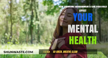 Transform Your Mind: How New Environments Boost Mental Well-Being