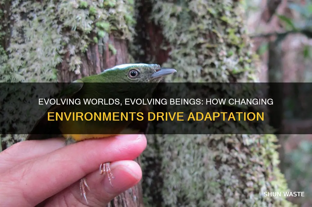 how changing environments lead adaption