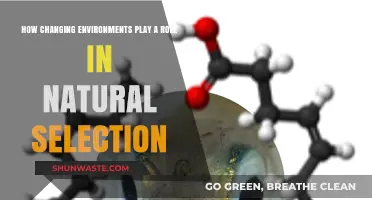 Environmental Shifts: Driving Forces Behind Natural Selection and Evolution