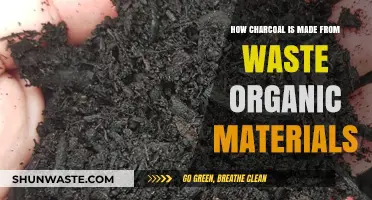Transforming Waste into Charcoal: Sustainable Production from Organic Materials