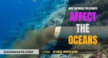 The Dark Side of Chemicals: Ocean Pollution