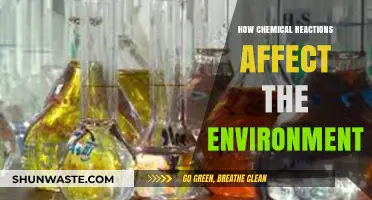 Chemical Reactions' Environmental Impact: Understanding the Ecological Consequences