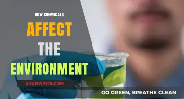 Chemical Impact: Understanding How Substances Harm Our Environment
