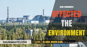 Chernobyl's Environmental Impact: Long-Term Consequences of the Nuclear Disaster