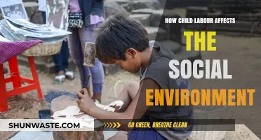 Child Labour's Impact: Shaping Societies and Social Environments Negatively