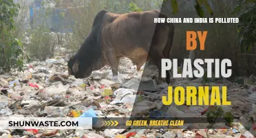 Plastic Pollution's Impact on China and India