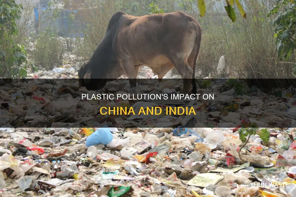 how china and india is polluted by plastic jornal