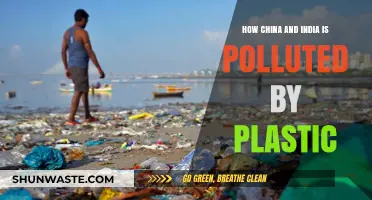 Plastic Pollution's Impact on China and India