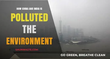 China and India's Environmental Pollution Crisis