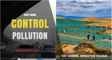 China's War on Pollution: Strategies and Successes