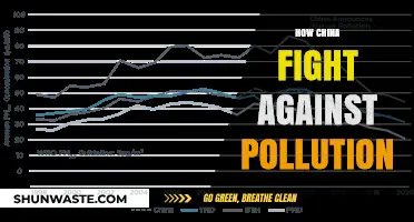 China's War on Pollution: Strategies and Successes