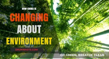 China's Environmental Transformation: Policies, Progress, and Global Impact