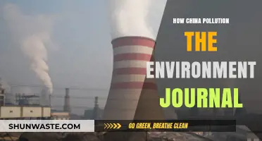 China's Pollution Problem: A Journal's Perspective