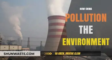 China's Pollution Problem: Environmental Impact and Concerns