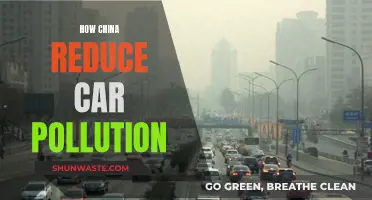 China's Strategies to Reduce Car Pollution