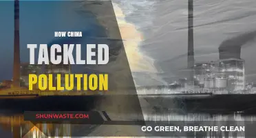 China's War on Pollution: Strategies and Successes