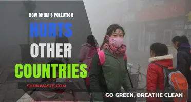 China's Pollution: A Global Crisis
