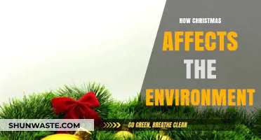 Christmas's Environmental Impact: Unwrapping the Holiday's Ecological Footprint