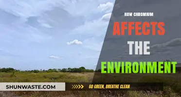 Chromium's Environmental Impact: Pollution, Health Risks, and Ecosystem Disruption Explained