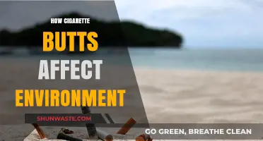 Cigarette Butts: The Hidden Environmental Hazard Destroying Our Planet