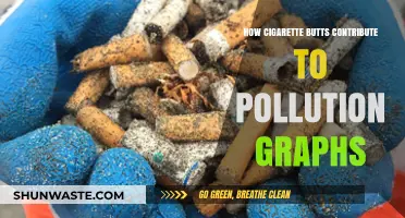 Cigarette Butts: A Graphical Pollution Overview
