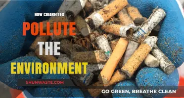 Cigarettes: Environmental Poisoning and Pollution