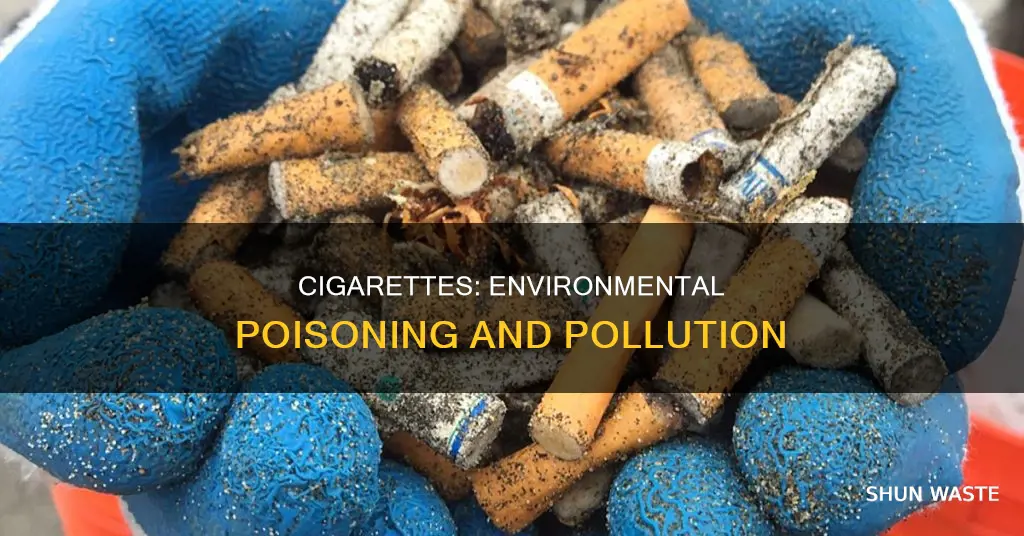 how cigarettes pollute the environment