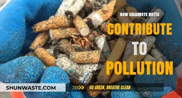 Cigarette Butts: A Burning Issue for the Environment